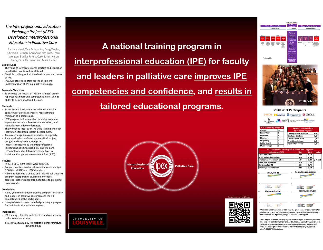 The Interprofessional Educational Exchange Project (iPEX